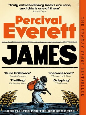 James - ebook